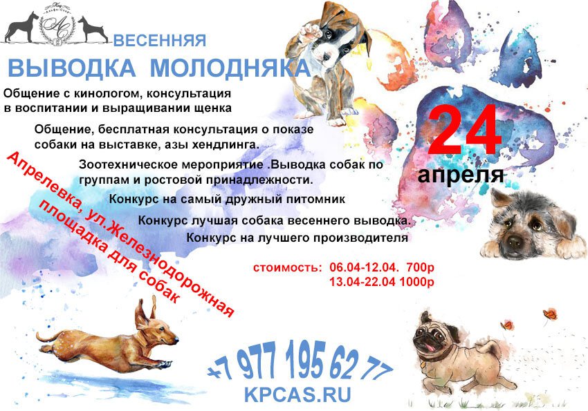 Племенной смотр КПЦ Альфа-Стар (СКОР)
