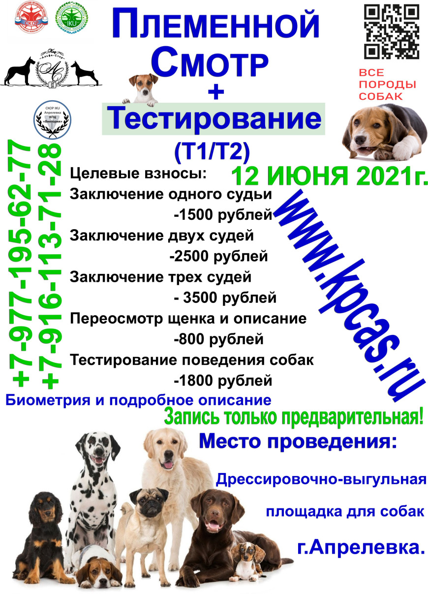 Племенной смотр КПЦ Альфа-Стар (СКОР)